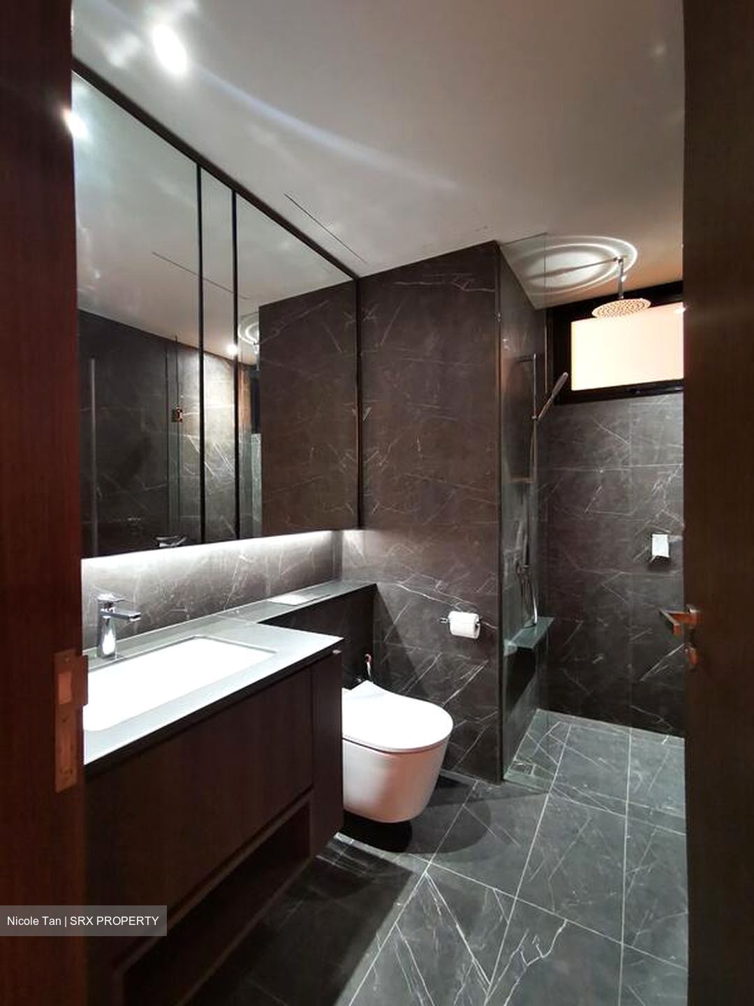 Kopar At Newton (D9), Apartment #499576221